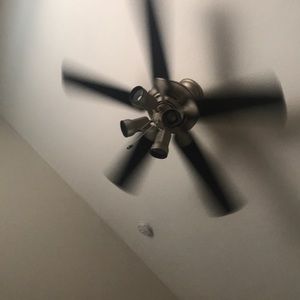 Meet your Posher, Brianne